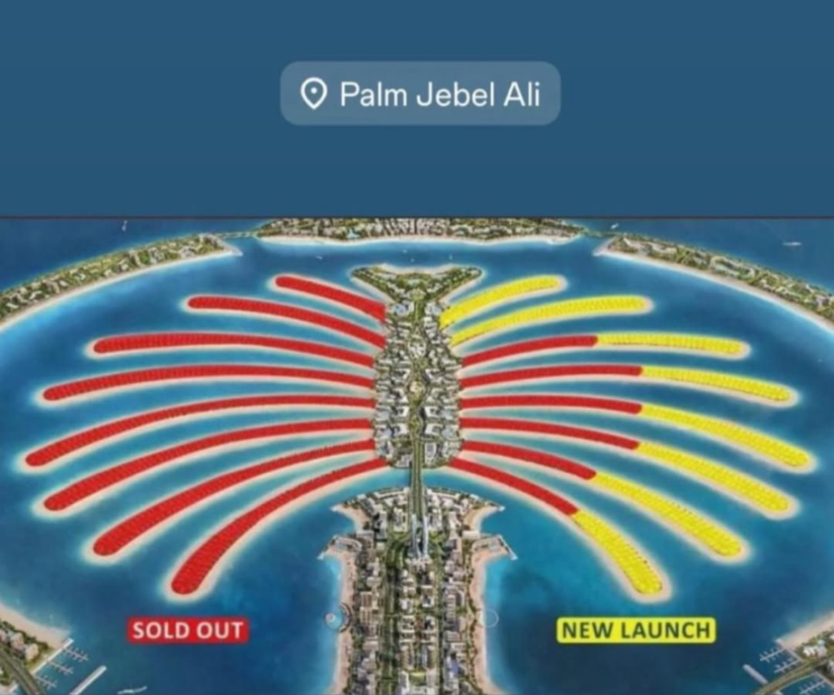 sold out and new release