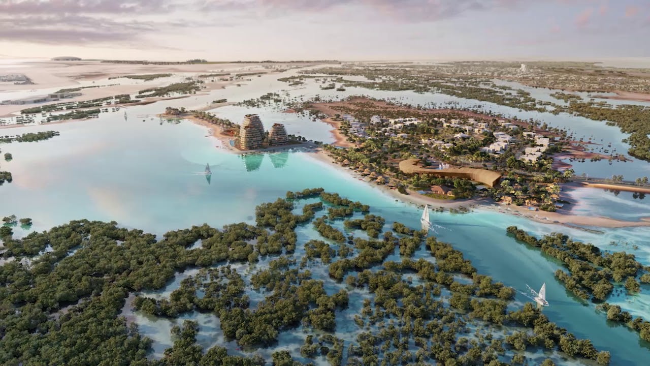 Jubail Abu Dhabi mangrove